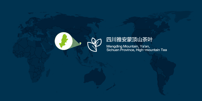 location of the tea plantation where IoT wireless sensors are deployed