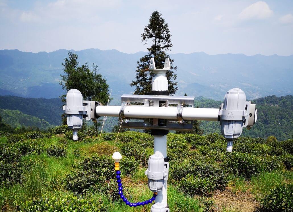 四川茶农借助SenseCAP传感器打造高山茶品牌，实现产品溯源和增值