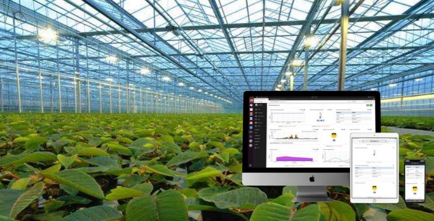 温室农业采用SenseCAP配合软件平台，实现环境监测自动化