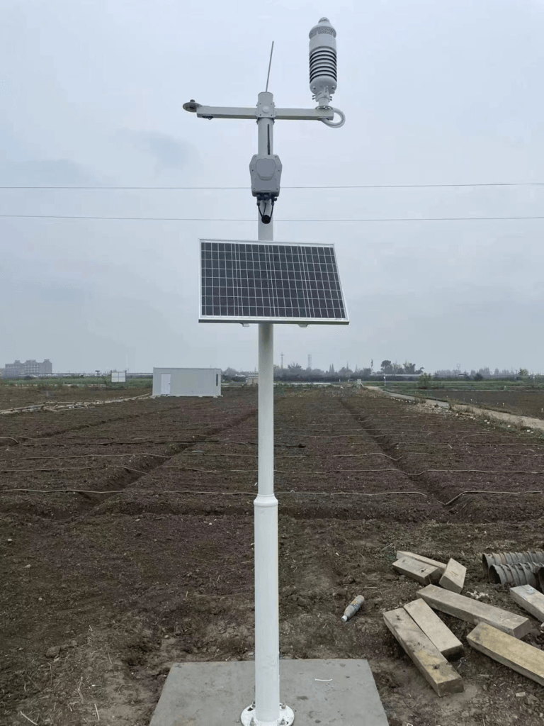 稻田环境检测辅助水稻病虫害风险预报