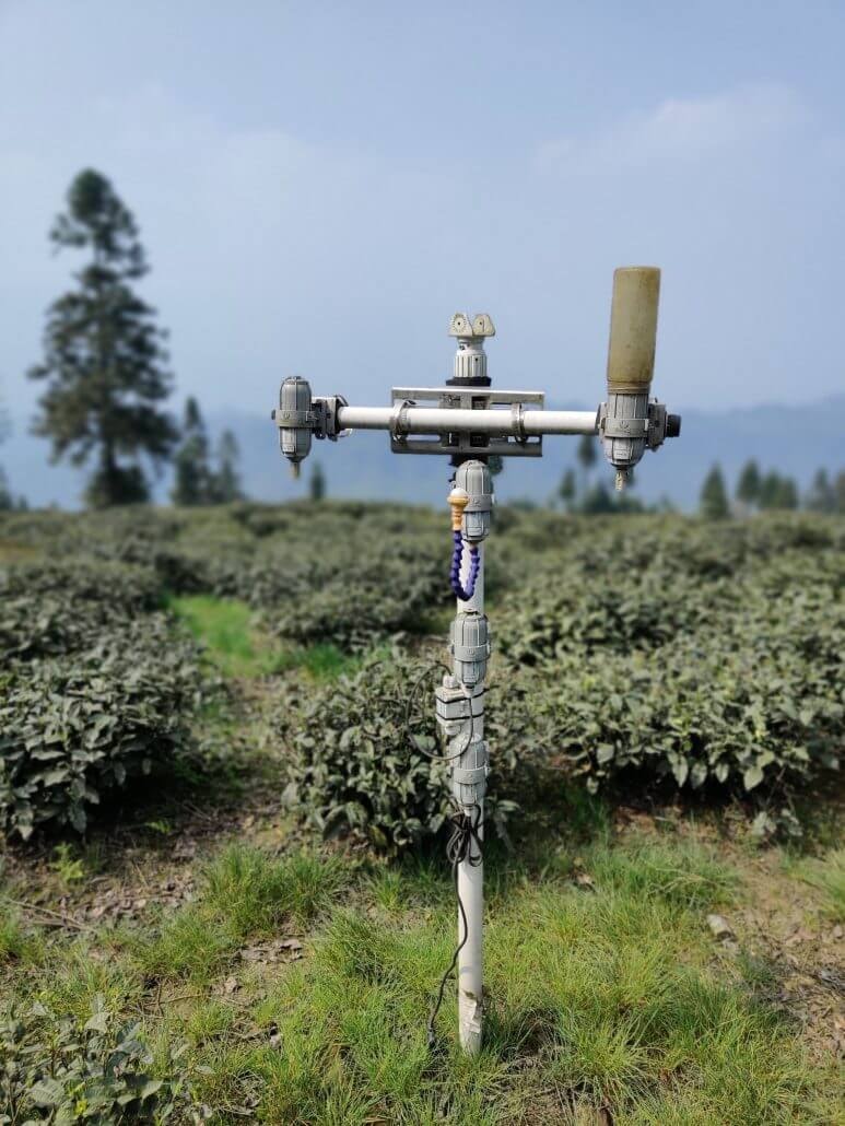 四川茶农借助SenseCAP传感器打造高山茶品牌，实现产品溯源和增值