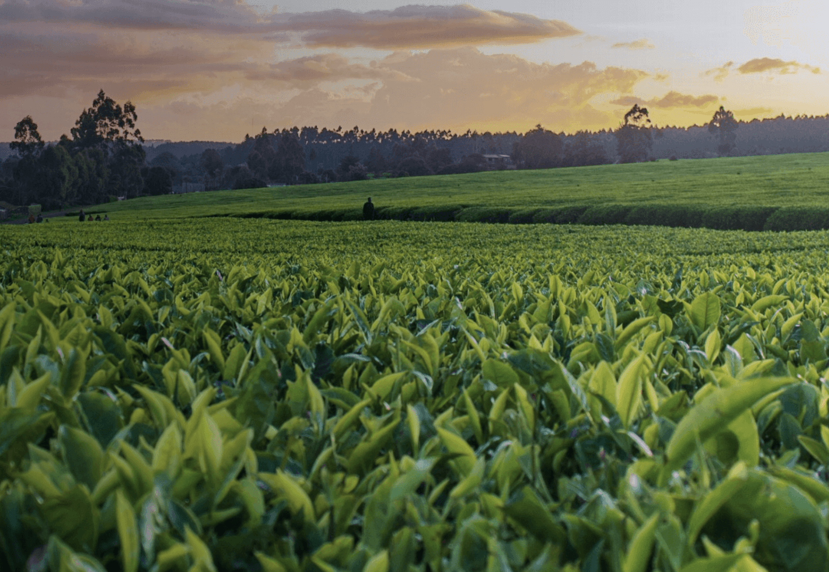 智慧农业环境感知