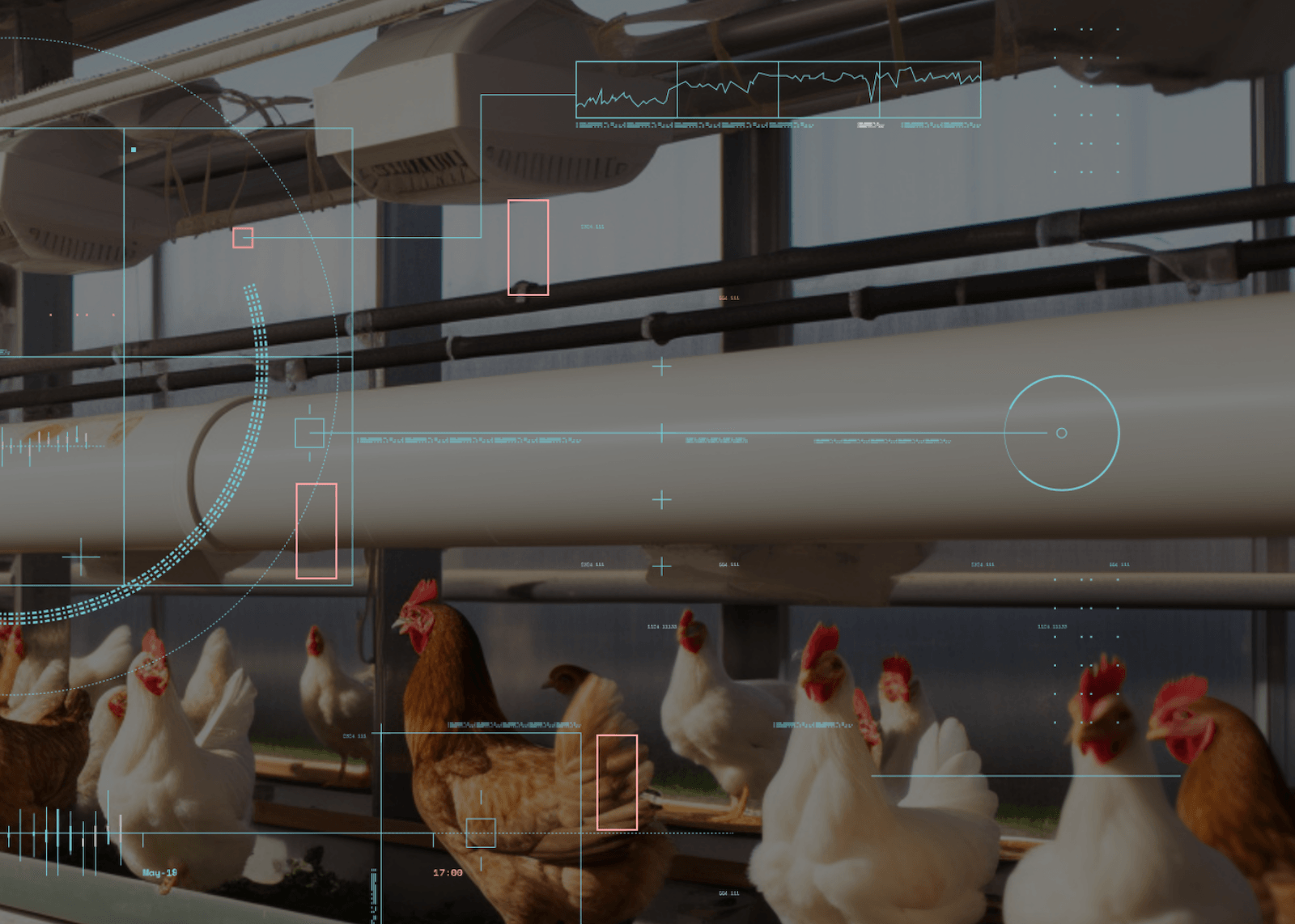 智慧精细化养殖