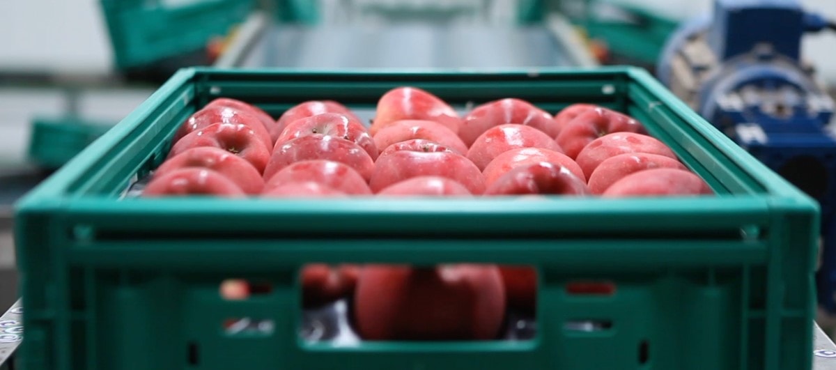 ODM案例分析：基于reTerminal的智能包装系统